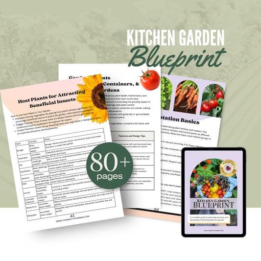 Kitchen Garden Blueprint – Your Guide to Growing Fresh, Organic Food at Home!