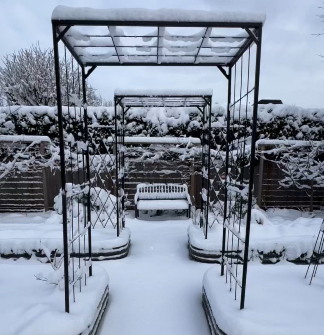 What Your Last Frost Date Really Means (and How to Plan Your Garden Around It)