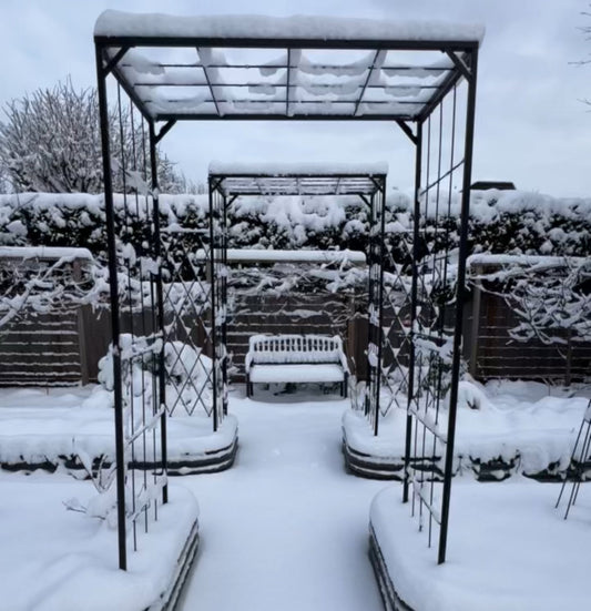 What Your Last Frost Date Really Means (and How to Plan Your Garden Around It)