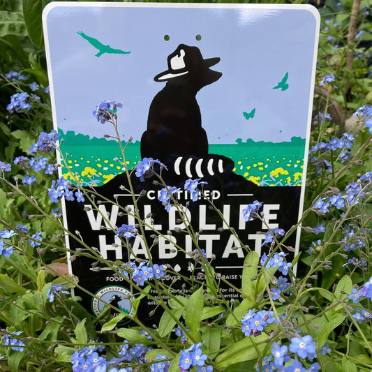 How to Create a Wildlife-Friendly Garden This Earth Day