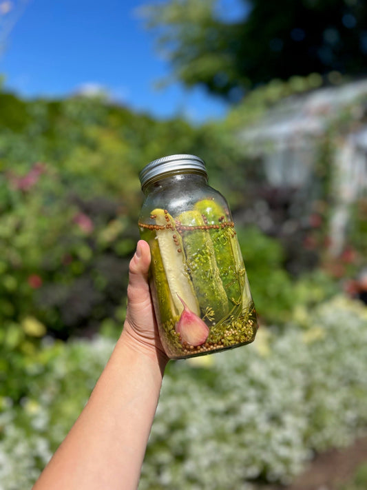 Easy Refrigerator Dill Pickles (No Canning Required!)