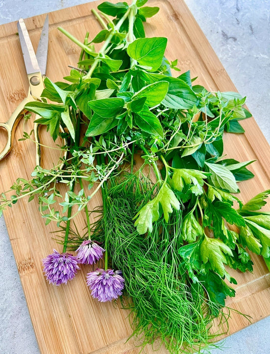 A Complete Guide to Growing, Harvesting, Preserving, and Storing Garden Herbs